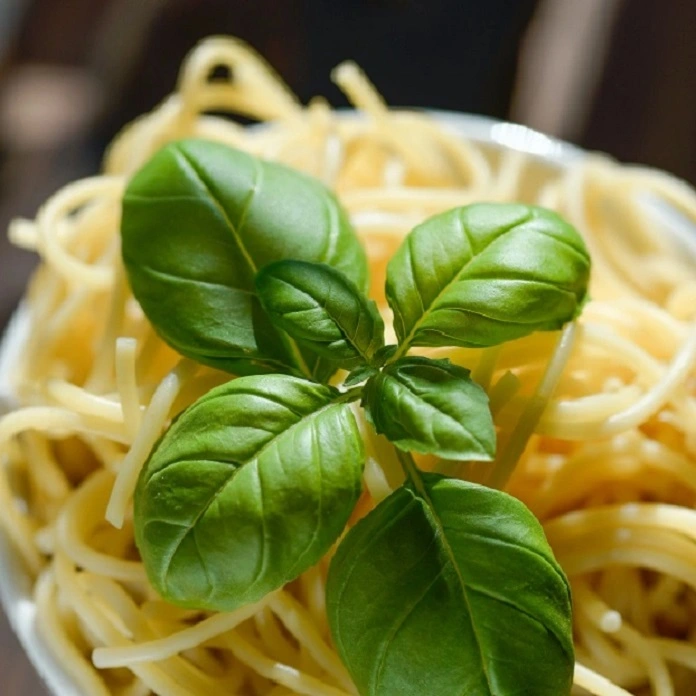 Plain Pasta without Sauce and Fresh Basil