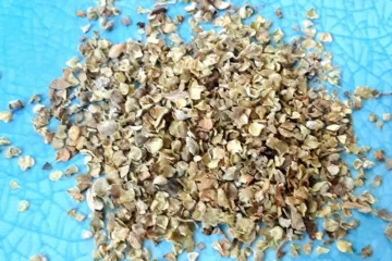 11 Favorite Marjoram Spice Substitutes